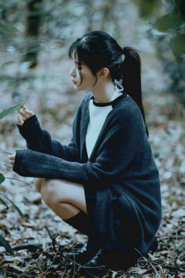 预审